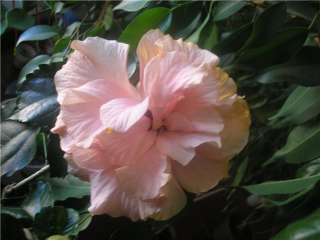fd4ad8c53369.jpg
