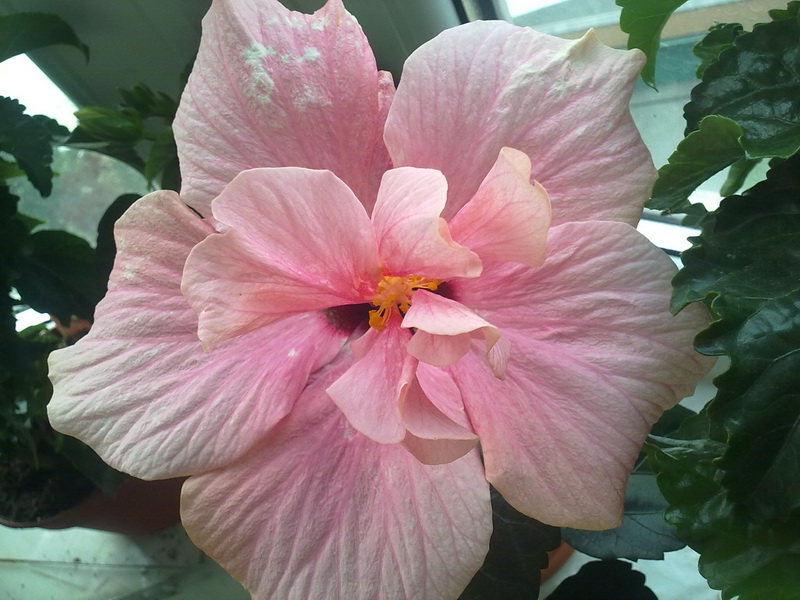 12072010049.jpg