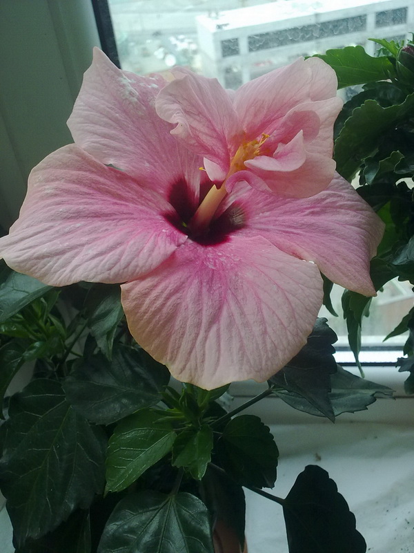 12072010050.jpg