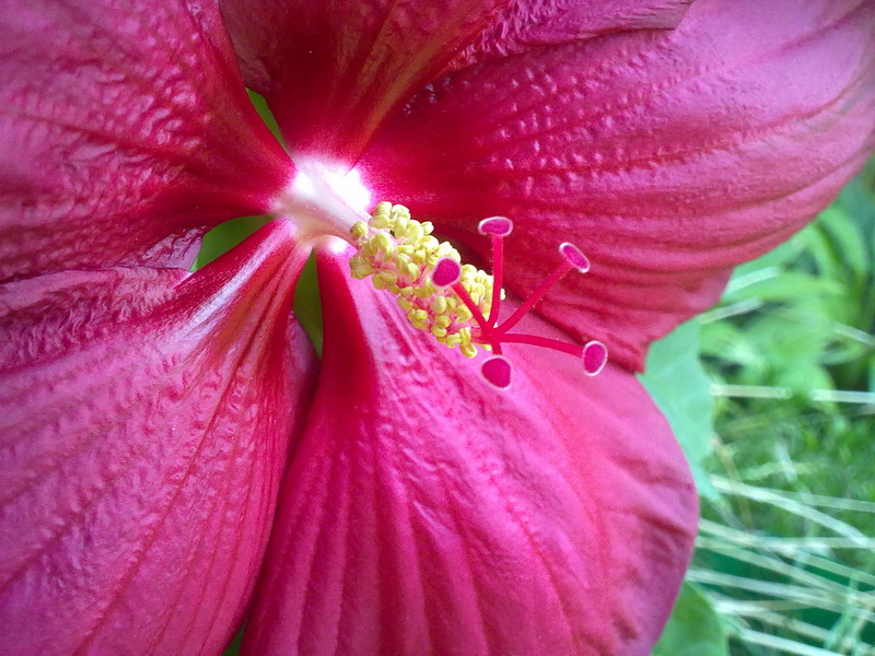 30072010150.jpg