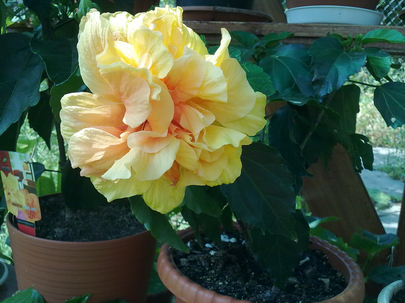 30072010159.jpg