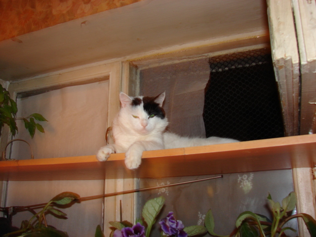DSC00449.JPG