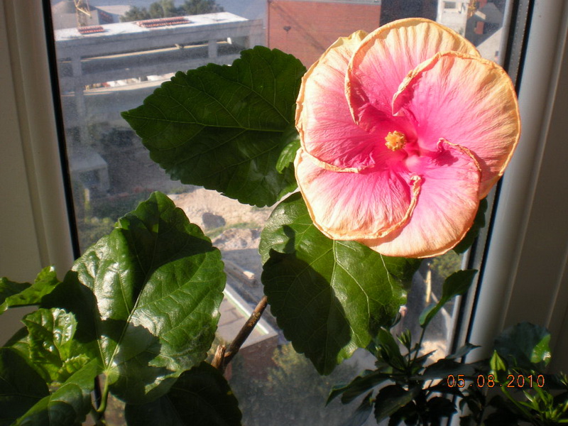 05.08.2010 064.jpg