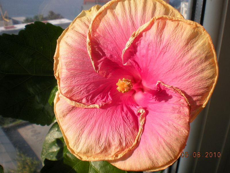 05.08.2010 065.jpg