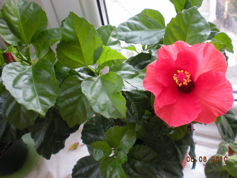 05.08.2010 068.jpg
