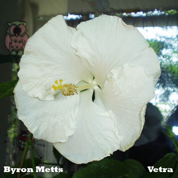 Byron Metts__.jpg