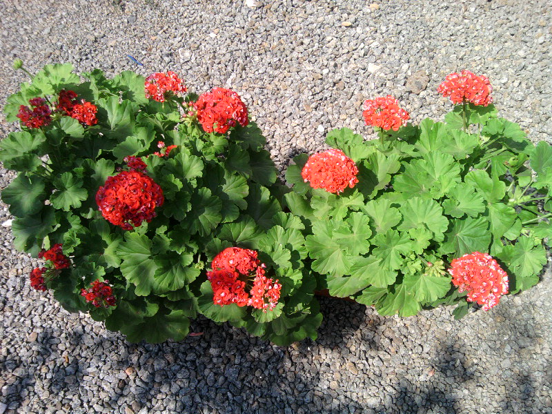 SP_A6871.jpg