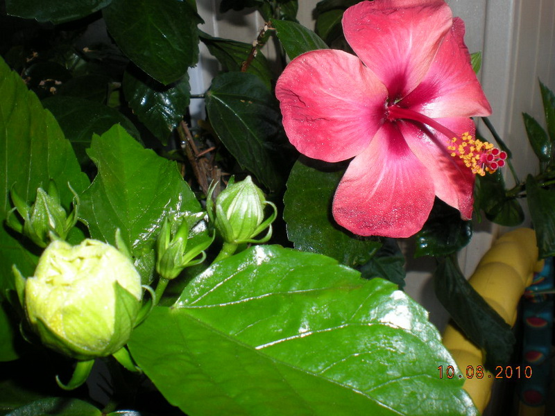 10.08.2010 007.jpg