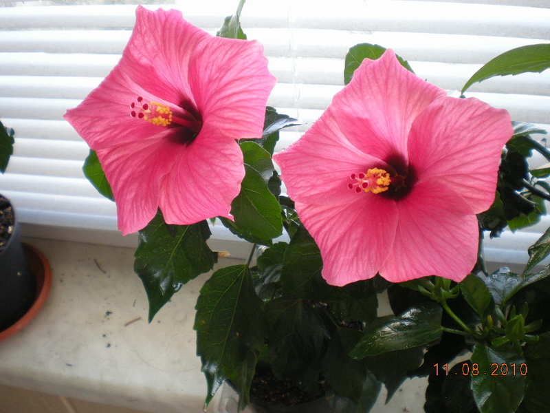 11.08.2010 045.jpg