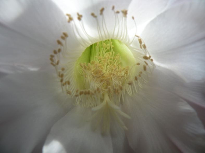 DSCN4091.jpg