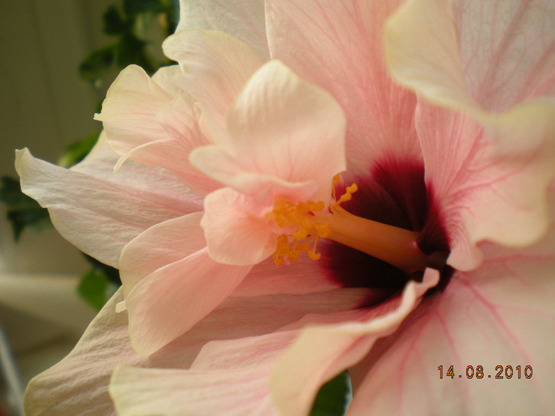 11.08.2010 073.jpg