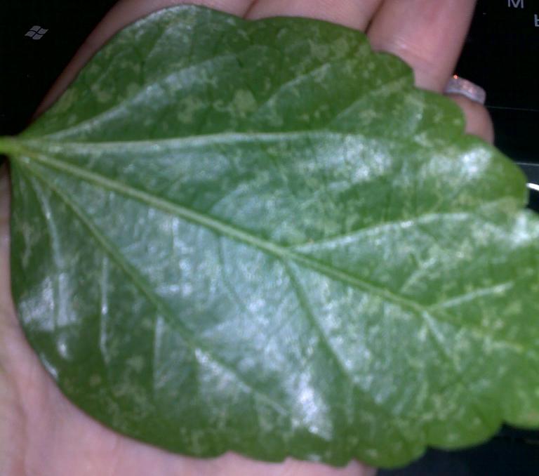23082010304.jpg