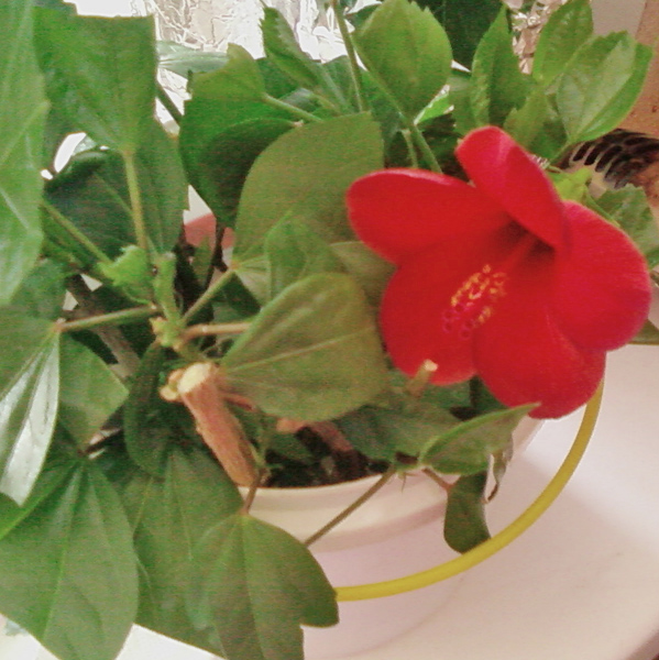 SP_A0965.jpg