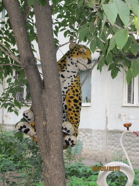 Дворики_9.jpg