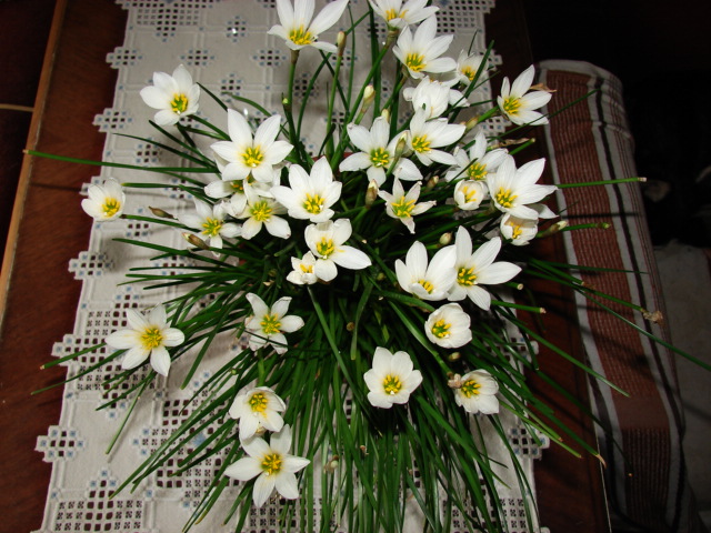 DSC00816.JPG