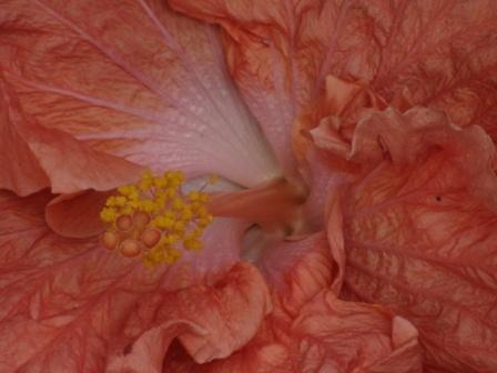 DSC03295.JPG