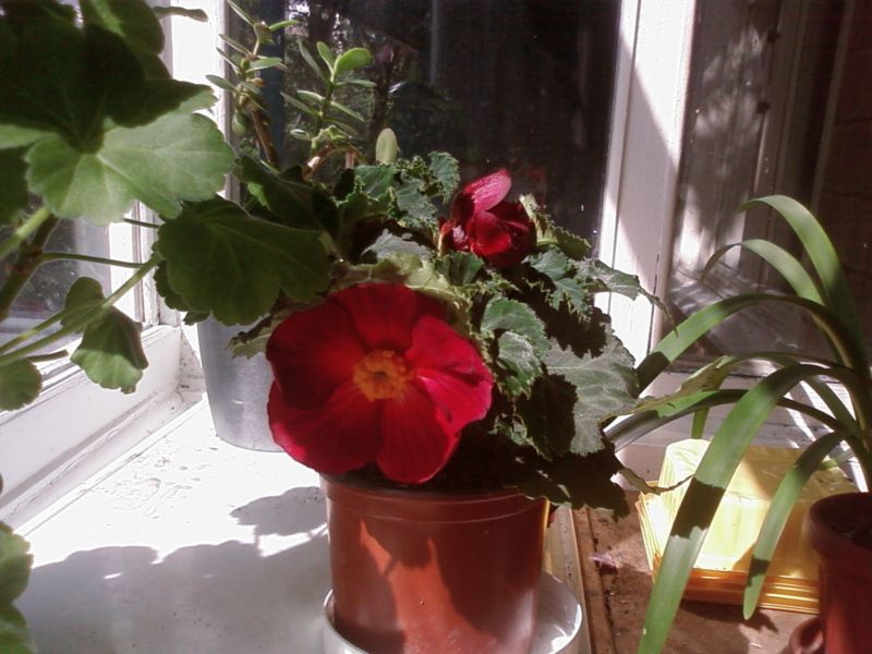 Photo-0269.jpg