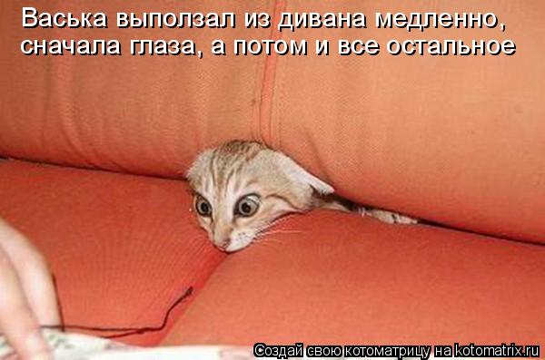 Глаза.jpg