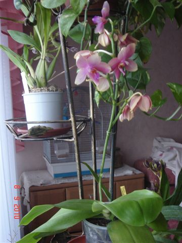 DSC00912.JPG
