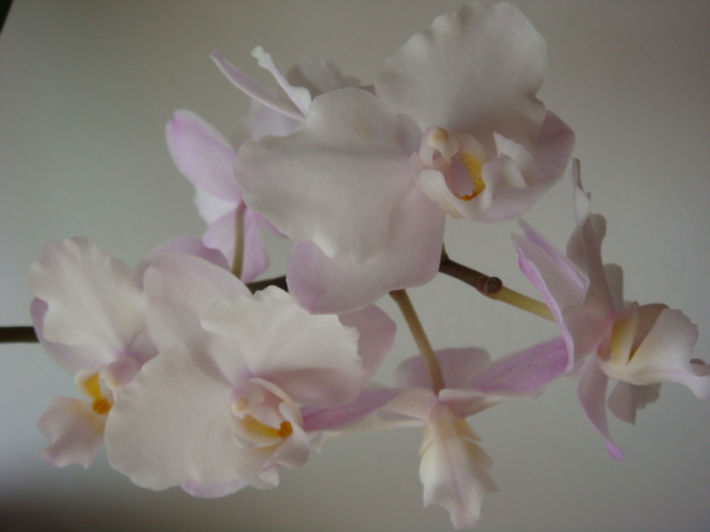 DSC05895.JPG
