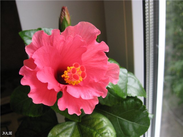 dade697f888a.jpg