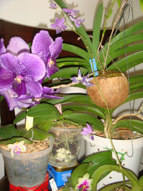 DSC06033.JPG