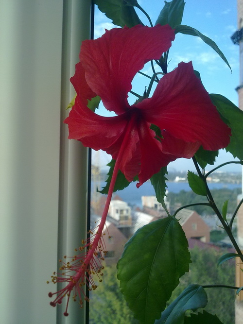 12092010306.jpg