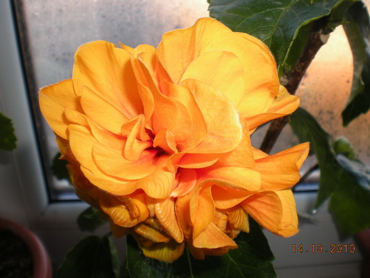 14.10.2010 012.jpg