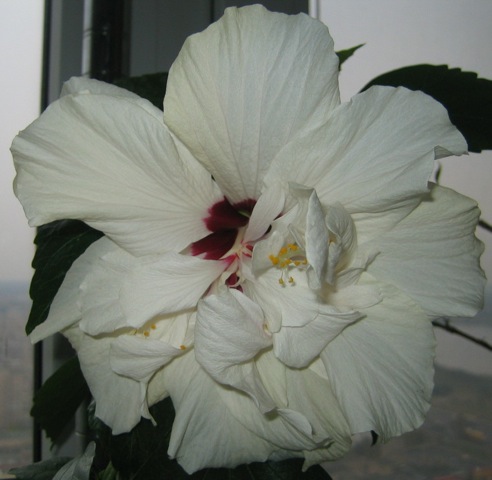 IMG_0027.JPG