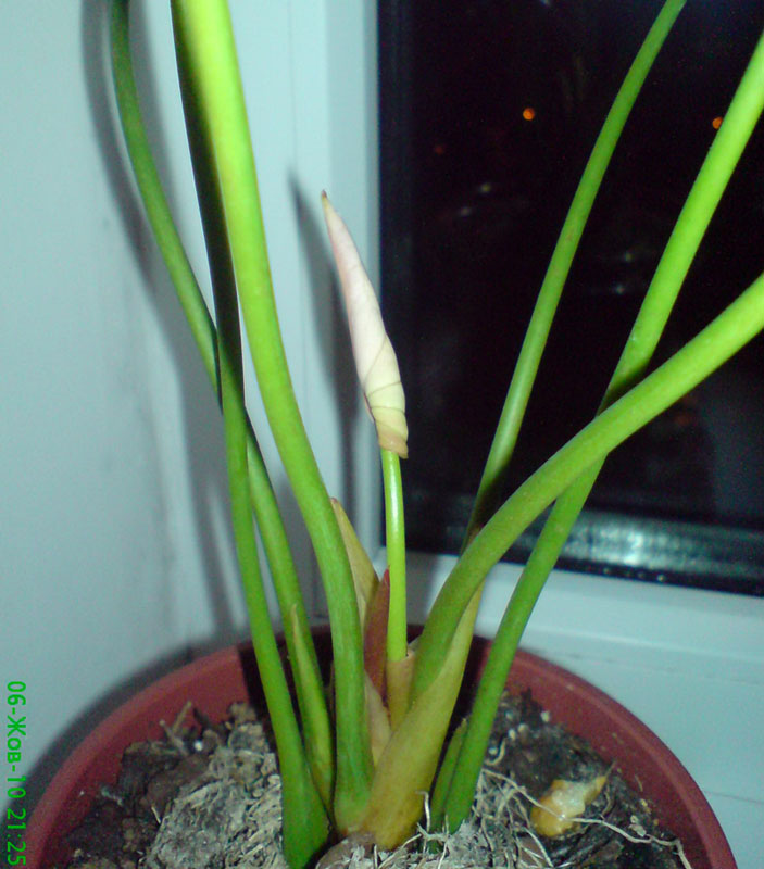 DSC00326.JPG