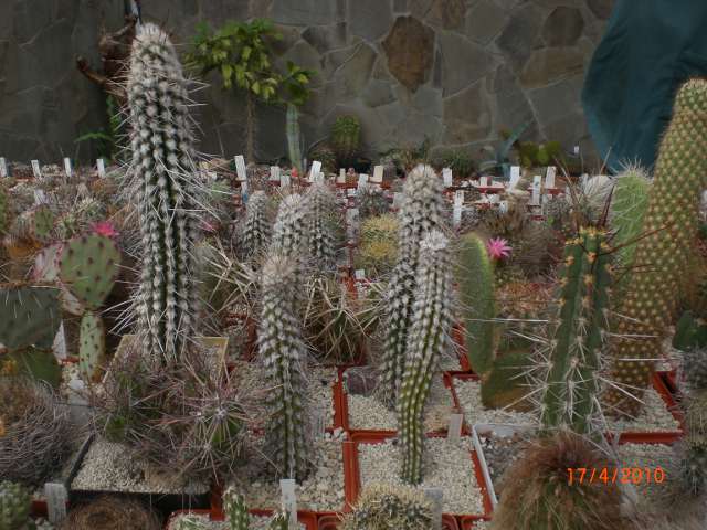 CIMG3084.JPG