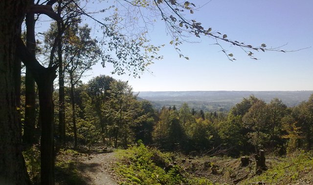 10102010199.jpg