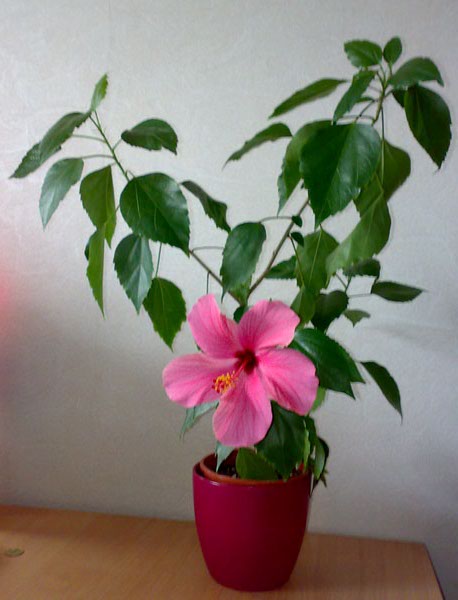 231020102850.jpg