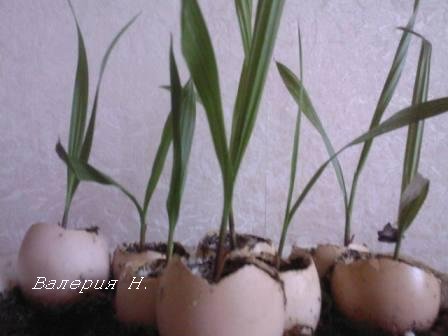 SP_A0099.jpg
