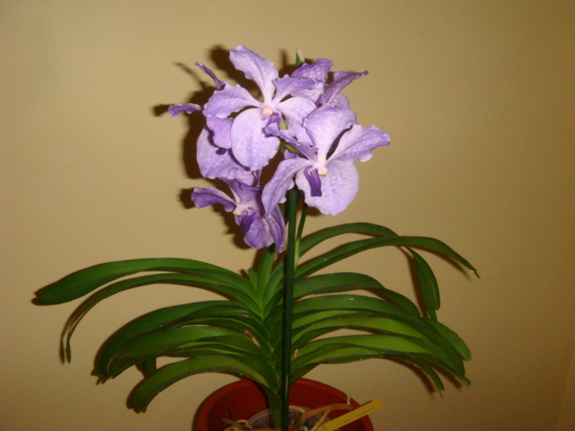 DSC06328.JPG