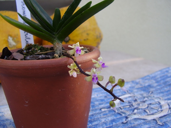PA210320.JPG