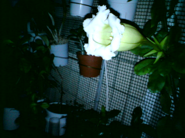 DSC02094.JPG
