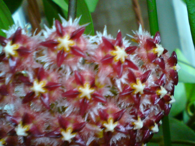 DSC02139.JPG