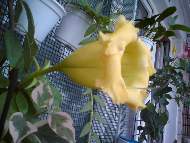 DSC02150.JPG
