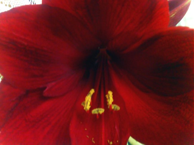IMG280_1.JPG