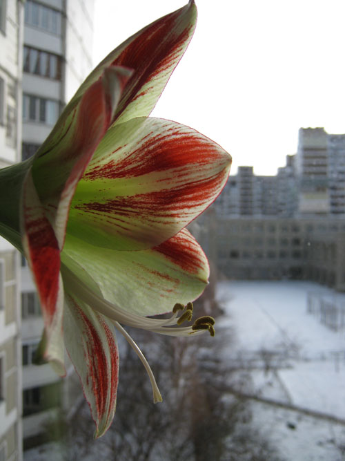 IMG_48731.jpg