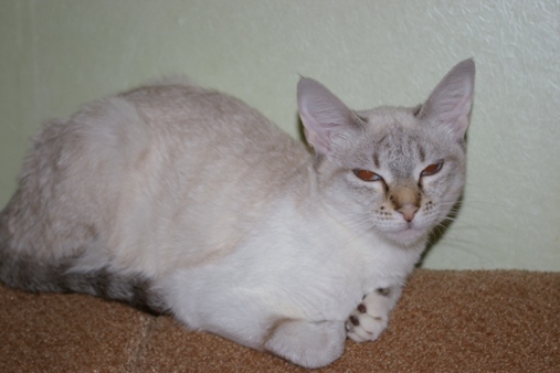 IMGP0288.JPG