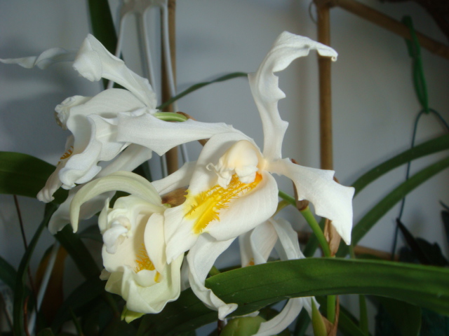 DSC06380.JPG