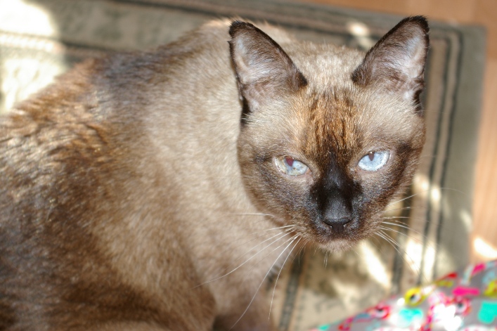 IMGP0127.JPG
