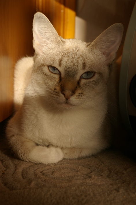 IMGP0386.JPG