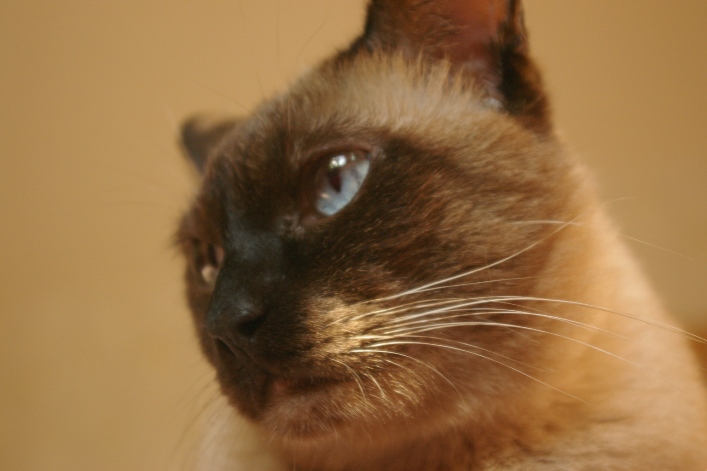 IMGP0406.JPG