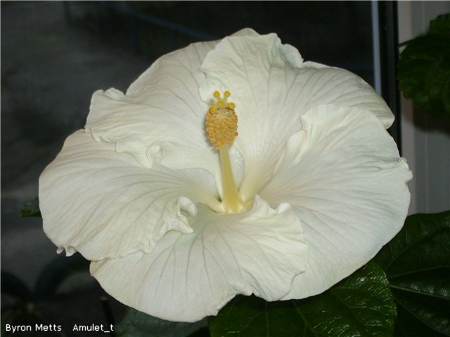 eda537cf081f.jpg