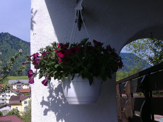 DSCF0829.JPG
