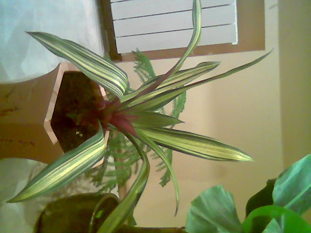 Image000.jpg