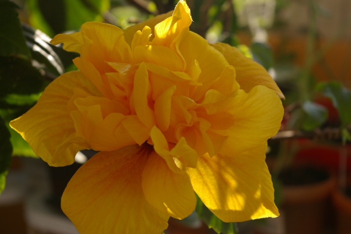 IMGP0317.JPG